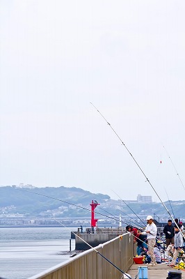 埠頭で釣りをする人々